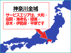 �_�ސ쌧�S��
�T�[�r�X�G���A�́A��a�E
���ԁE�C�V���E�����E
���؁E�ɐ����E���˂ł�